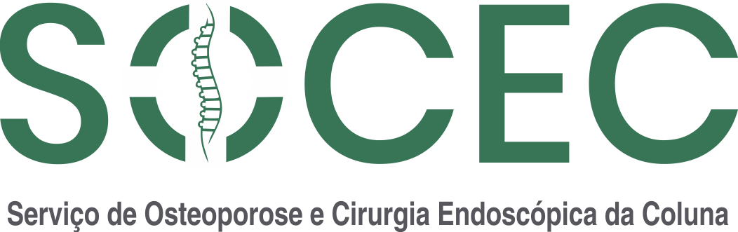 logo-socec